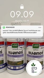 แมงเกอร์1 ลิตร ตราเจียไต๋ ฟิโพรนิล fipronil สารกำจัดแมลง แบบดูดซึม ปลอดภัยใช้ง่ายผสมน้ำฉีดพ่น ใช้ได้ทั้งเกษตรและปศุสัตว์ เพลี้ยไฟ หนอนกอ หนอนม้วนใบ ด้วงหมัดผัก ปลวก แมงนูน เพลี้ยไฟในนาข้าว กำจัดปลวกได้อย่างยาวนาน ปลอดภัย