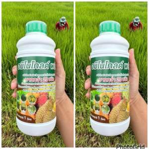 อมิโนโกลด์พลัส โปรตีนพืช แพคคู่(2ขวด)