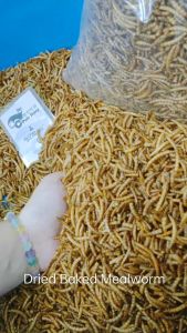CC Pets Story✨Ready Stock | Dried Baked Worm phoenix worm mealworm. From 20g - 1kg. For fish bluebird wild birds chicken duck gooses sugar glidder  hedgehog repties hamster small aninmals