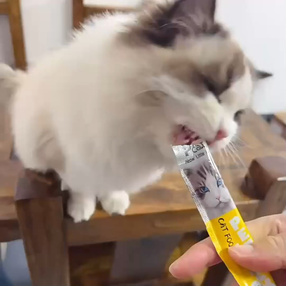 Cat Treat Sticks | Nutritious Wet Food Snacks for Cats | Wholesale Pet Cat Snacks