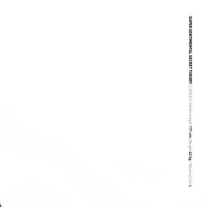 SSST Basic Pocket Heavy Weight T-Shirt Polos Oversize Olive