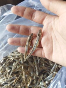 Ikan asin TERI TAWAR jk 1kg super murah garing renyah terlaris