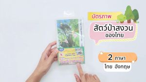 บัตรคำ Flashcards ชุด สัตว์ป่าสงวนของไทย 2 ภาษา (ไทย-อังกฤษ) บัตรผลิตจากพลาสติก กล่อง 20 ใบ/ ET-329