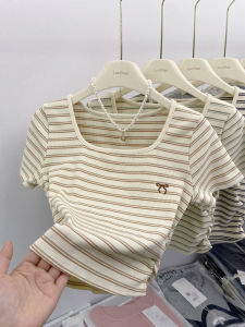 Pure Cotton Short Sleeve T-Shirt Womens Summer New Style Embroidered Slim Fit Square Collar Striped Top Small Size