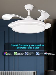 Chigo | Invisible Ceiling Fan Light for Home