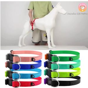 ปลอกคอสุนัขสะท้อนแสง coco buddy ปลอกคอสุนัข 2สีพร้อมแถบเส้นสะท้อนแสงเห็นเด่นชัดเมื่อไฟส่องมา C052