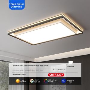 AODN | Modern Luxurious Ceiling Light for Living Room