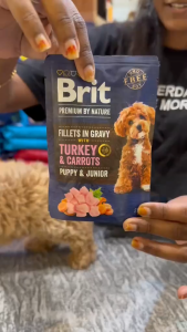 85g Brit Premium By Nature Fillet In Gravy All Stages Adult Puppy Dog Wet Food Pouch Pet Essentials