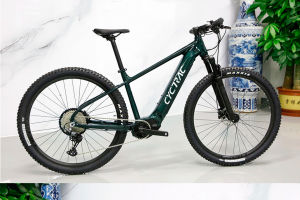 Electric Mountain Bike EM5 NX-11 Speed Dual Disc Brake Mid-Motor 250W 500W Torque Type Suitable for 155-200cm Height