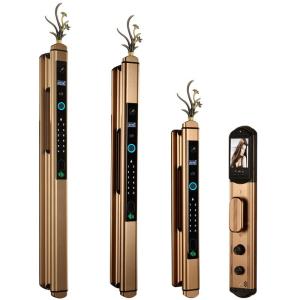 AODENG | Automatic Dual Door Fingerprint and Password Lock