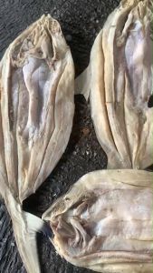 Ikan Asin Hiu Ikan Kering Asin Hiu Ikan Laut Hiu Full Ikan Kering Asin