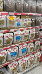 Royal Canin Mini Indoor Senior 1.5kg. (08/26) - โรยัล คานิน อาหารเม็ด สุนัขพันธุ์เล็ก เลี้ยงในบ้าน สูงอายุ 1.5 กิโลกรัม