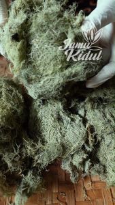 Kayu Angin & Akar Angin Kering Oven: Perbandingan & Pemilihan