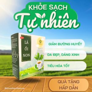 Trà Lá Nam Hộp (60 gói 3g / túi)