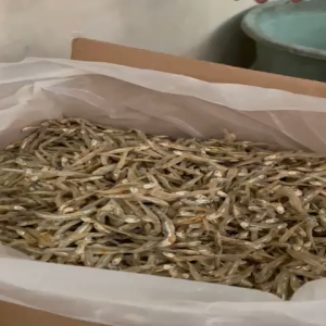 Ikan Teri Jengki Asin Kering 1 Kg Termurah  250 Gram 500 Gram 1000 Gram Ratu Peda Acin