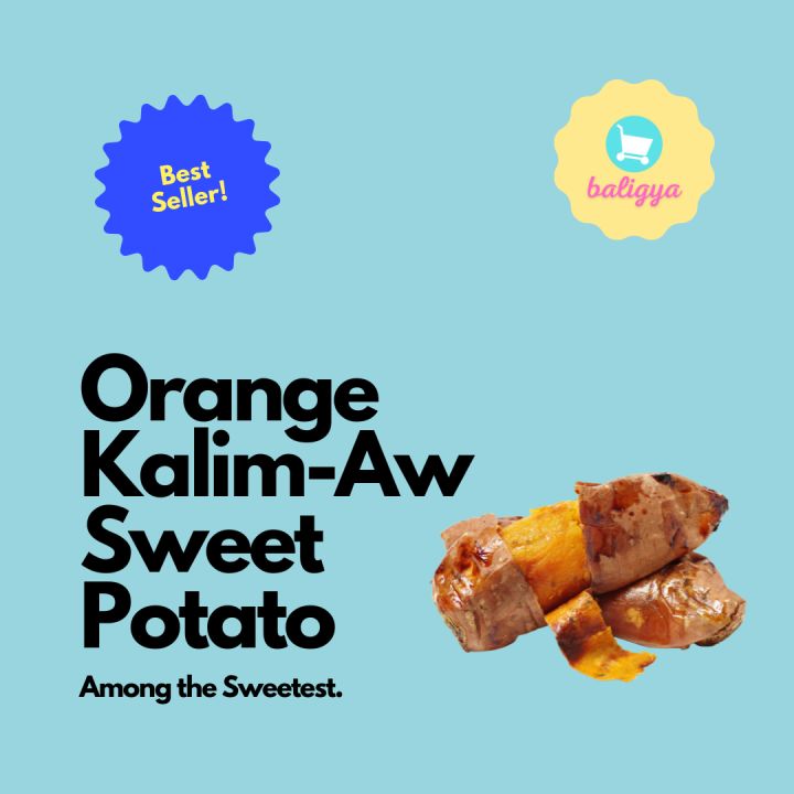 Mindanao Orange KalimAw Kamote (Sweet Potato) 1 Kilo Lazada PH