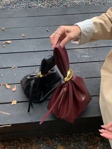 2025 all-match pleated cloud bag female niche design handbag ins popular commuter small handbag