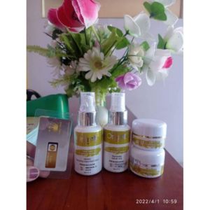 ORLIN BEAUTY PAKET WHITENING BRIGHTENING PLATINUM /BONUS hijab