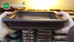 Pot Bonsai Keramik Segi Empat Persegi Panjang Size L