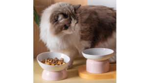 Mangkuk Seramik Makanan & Air Haiwan – Pet Ceramic Bowl for Food & Water Feeder Kucing Anjing 猫狗陶瓷碗