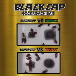 ARS BlackCap Ready-Made Cockroach Bait - Bundles of 2
