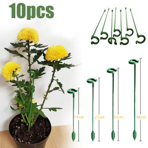 Plant Supports Stakes Flower Stand Sticks Reusable Plant Clips Bonsai Fixing Tool Flower Grow Holder Garden Tools