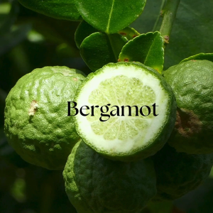 Abundance Essential Oil Bespoke Blend