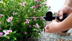 Wholesale Manufacturer Powder Spraying Device with Extendable Spray Tube for Termite Pest Control in Plants and Flowers Insecticide Powder Ball