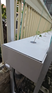 End Cap DRFT - Green House Indonesia