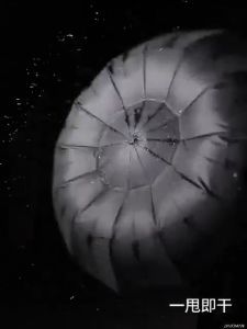 YTL ร่มมีเคสกันUV กันฝนและแสงแดด เคสยาวด้ามยาว-ใหญ่ ขนาดใหญ่พิเศษ โครงสร้างก้านร่ม ทนทาน แข็งแรง Umbrella