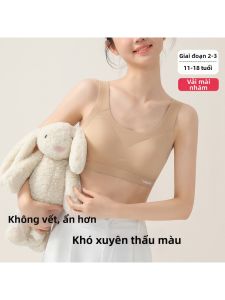 Adolescent Development Stage Bra