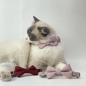 Vòng cổ cho Chó Mèo có nơ dễ thương (mẫu mới) - Hara pet Store