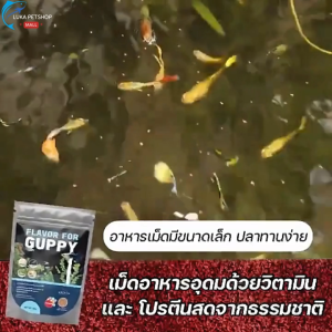 Luka😊พร้อมส่ง💯 อาหารปลาหางนกยูง FLAVOR FOR GUPPY 50g. โปรตีนสูงอุดมด้วยวิตามิน ช่วยให้ปลาเติบโตอย่างมีประสิทธิภาพสีสันสวยงาม