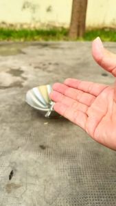 ( đá tròn 304 ) 1 muỗng cà phê trà bản tròn 3 cm cán dài Inox 304 - Thìa Đá Chanh-Sinh Tố - Inox 304 không hít nam châm