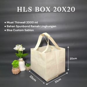 Goodiebag Semi Box Dus 20x20 Tebal Tas Spunbond