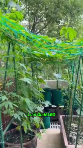 Lưới Leo Cây HDPE 2x5m | Lưới Làm Giàn Trồng Rau | Dây Leo Ban Công Sân Thượng Nhà Vườn
