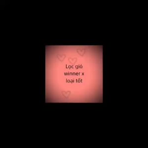 Lọc gió xe winner x v2 v3 150