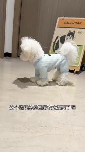 Pet Spring and Summer Thin Breathable Mesh Four Legged Clothes Dog Teddy Sun Protection Clothes Cooling Jumpsuit Puppy Clothes