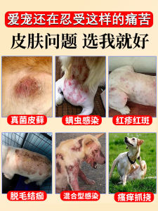 Pet Dog Skin Medicine Special Spray for Canine Dermatological Diseases Golden Retriever Teddy French Bulldog Skin Infections