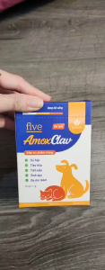 Five AmoxClav - Trị Nhiễm Trùng Đường Hô Hấp Tiêu Hóa Tiết Niệu Da Mô Mềm cho Chó Mèo