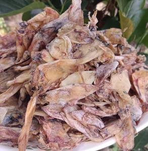 โปรวันนี้ หมึกกะตอย500กรัม​ตรงปก ปลาหมึกแห้ง นุ่มอร่อย ปลาหมึก ราคาโรงงาน