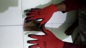 Sarung Tangan Palm Fit Merk LUPO 3 Pasang (6 Pcs)