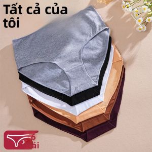6 Cái/bộ Quần Lót Cotton Nữ Cao Cấp Không Đường May Thoáng Khí Quần Lót Màu Trơn Quần Đùi S-2XL Quần Lót Cạp Trung