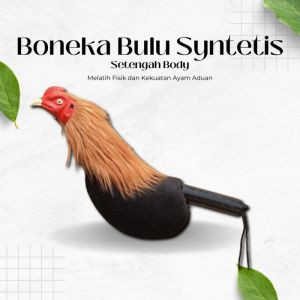Boneka Ayam Aduan Kepala Untuk Melatih Ayam Jago Jantan