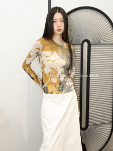 Peach Aunts New Chinese Style Print Tops Artsy Mesh round Neck Long Sleeves Silm Bottoming Shirt Thin Spring Summer and Autumn