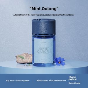 CARORI | Odor-Removing Durable Light Fragrance Car Perfume for Men