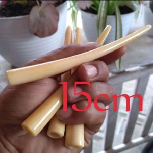 Pipa cangklong tulsap bulat kualitas super 15cm