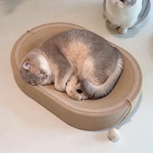 Petone dOrage | Scratch Resistant Non-flaking Self-entertainment Cat Bed