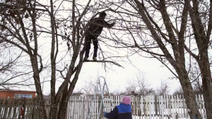 6M High Branch Pruning Saw Pole Saw for Tree Trimming Telescoping Trimming Garden Fruit Pruning Tool