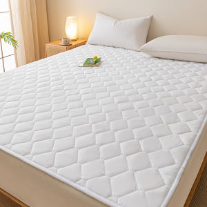 Đệm Mỏng Chống Trượt Đơn cho Ký Túc Xá/Sinh Viên/Khách Sạn